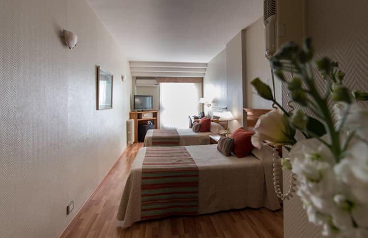 Hotel Solans Riviera - Executive Twin Room