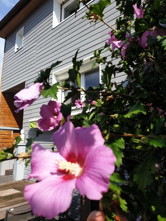 Happiness Cottage – photo 20