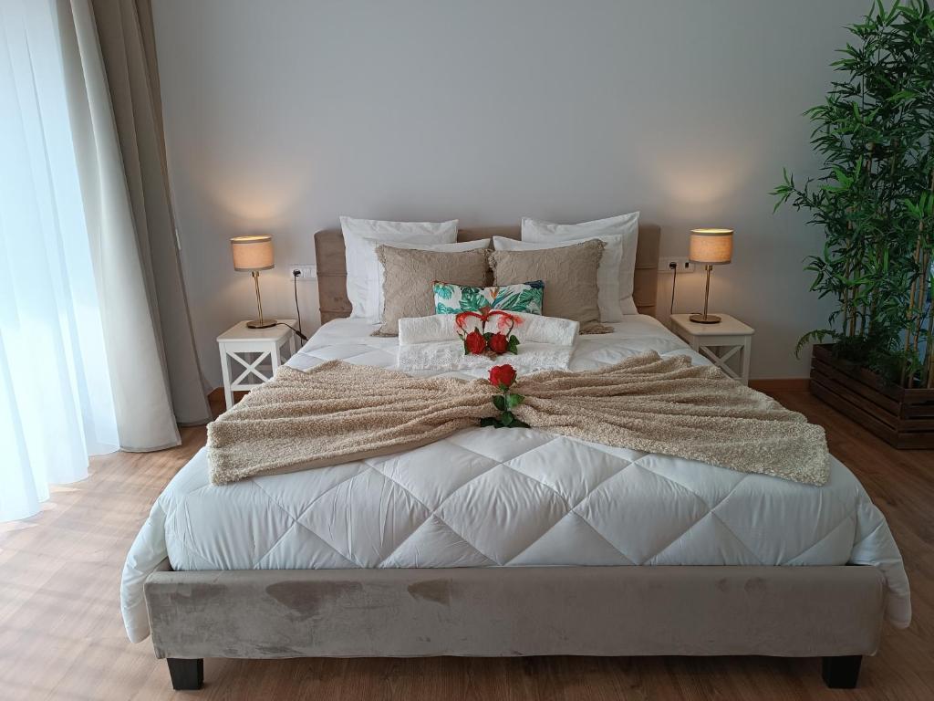 CASA DAS FONTELAS - 8