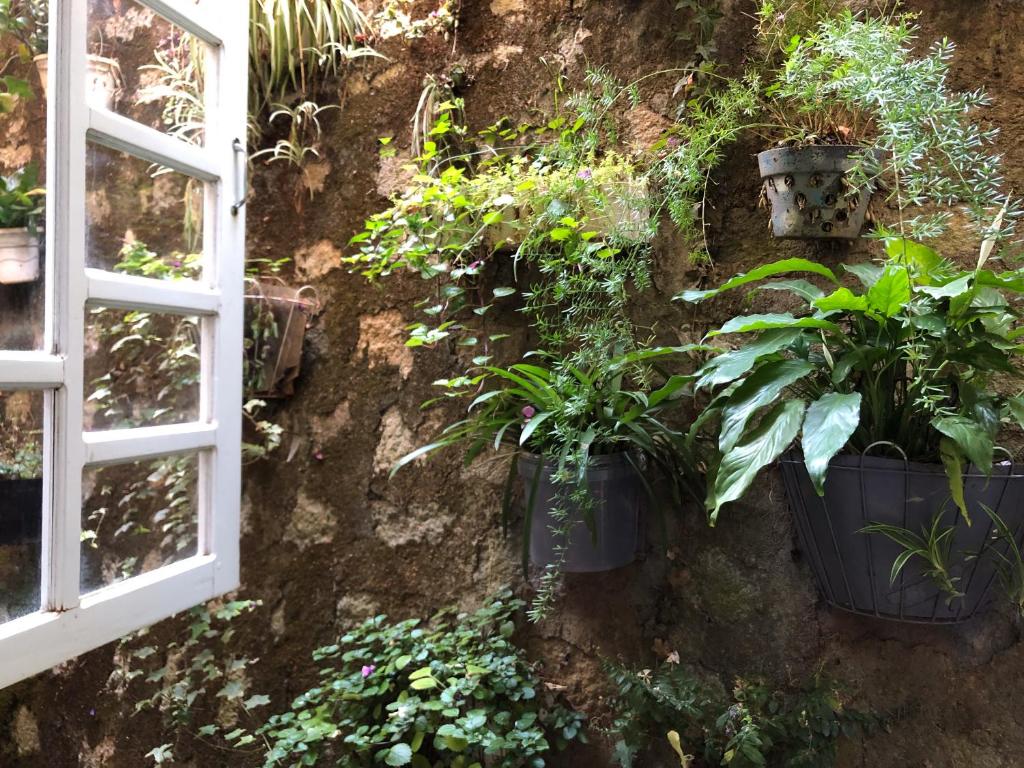Vườn quanh The One Home Đà Lạt
