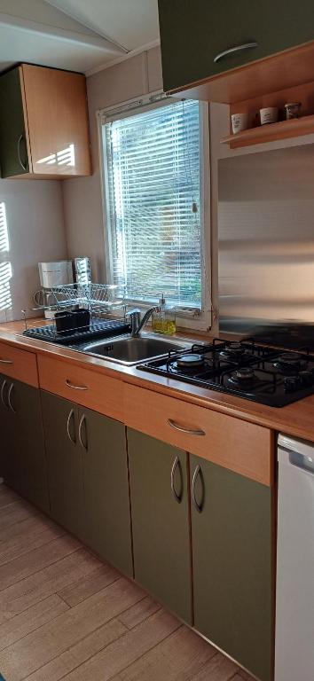 a kitchen with a sink and a stove at Le jardin de Domi in Ventiseri