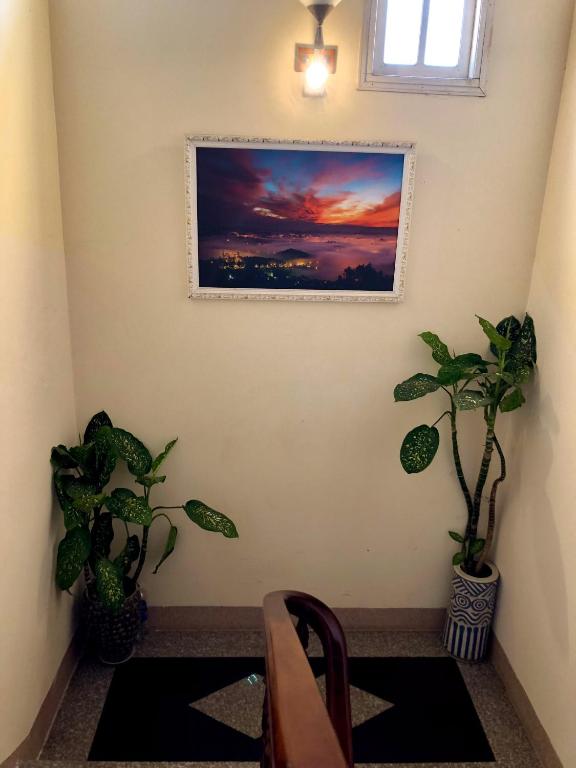 Bố cục The One Home Đà Lạt