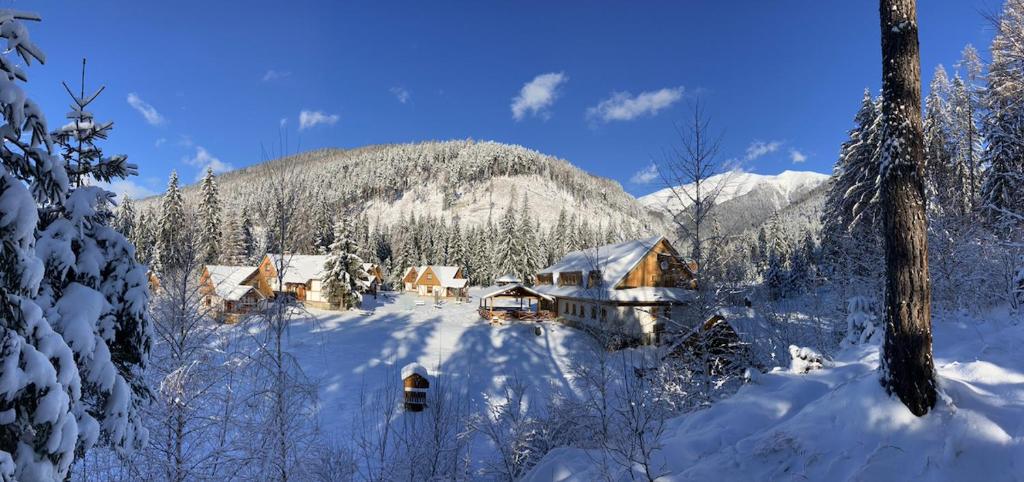 a snow covered village with a mountain in the background at Chaty a horský hotel Kožiar in Žiar