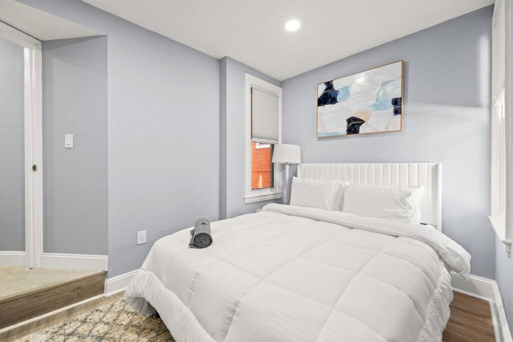 New! Cozy Apt in Center City! - Two-Bedroom Apartment