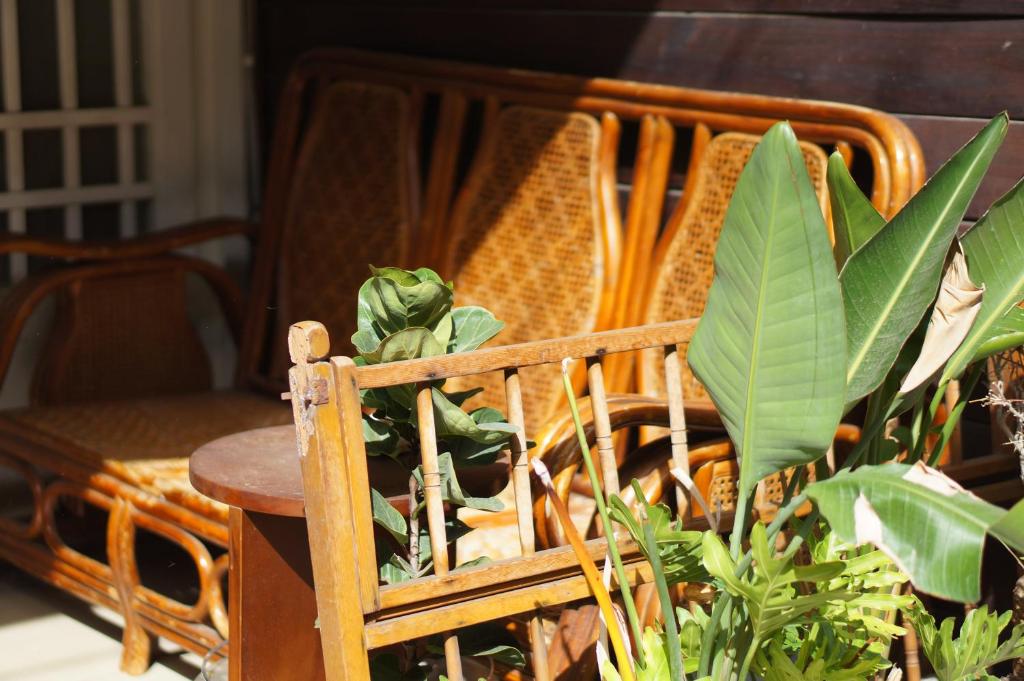 Foto de la galeria de Back to spring BnB a Nucli antic de Hengchun