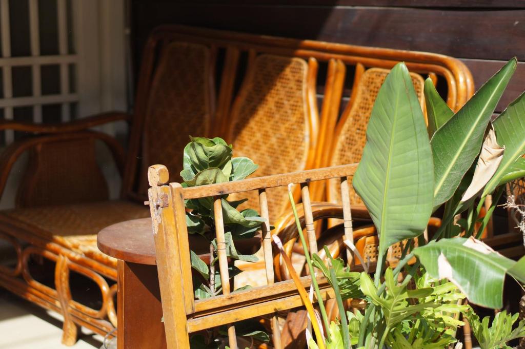 a wooden chair with a bunch of plants in it at Back to spring BnB in Hengchun