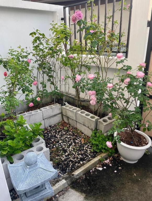 Hana House Hatyai - One-Bedroom Chalet