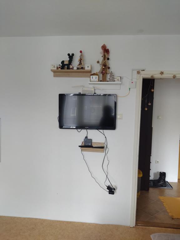 einen Flachbild-TV, der an einer Wand hängt in der Unterkunft Stan na dan Bega in Modriča