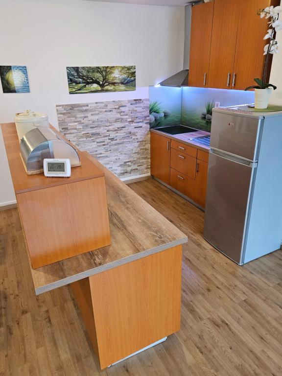 Kuchyň nebo kuchyňský kout v ubytování Apartment Zoya