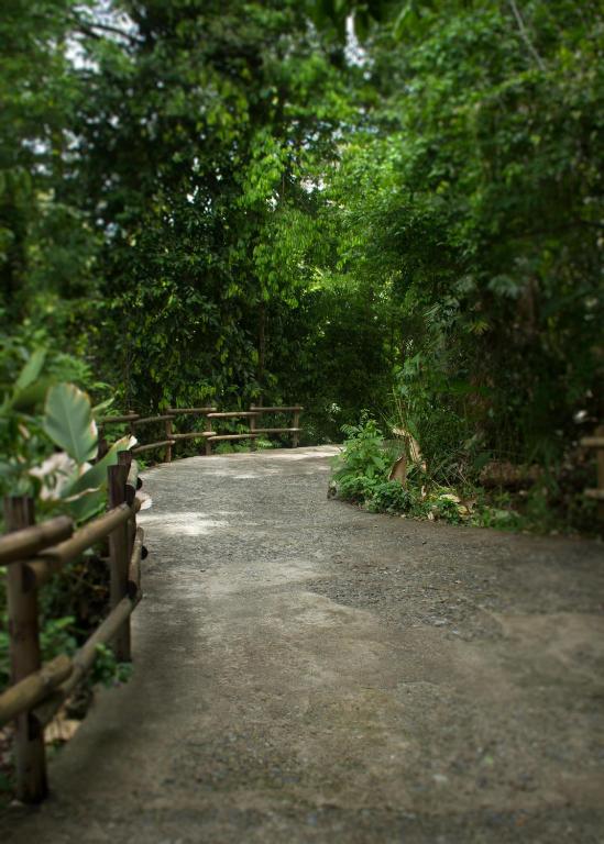 Fotografie z fotogalerie ubytování Arenas Del Mar Beachfront & Rainforest Resort Member of the Cayuga Collection v destinaci Manuel Antonio