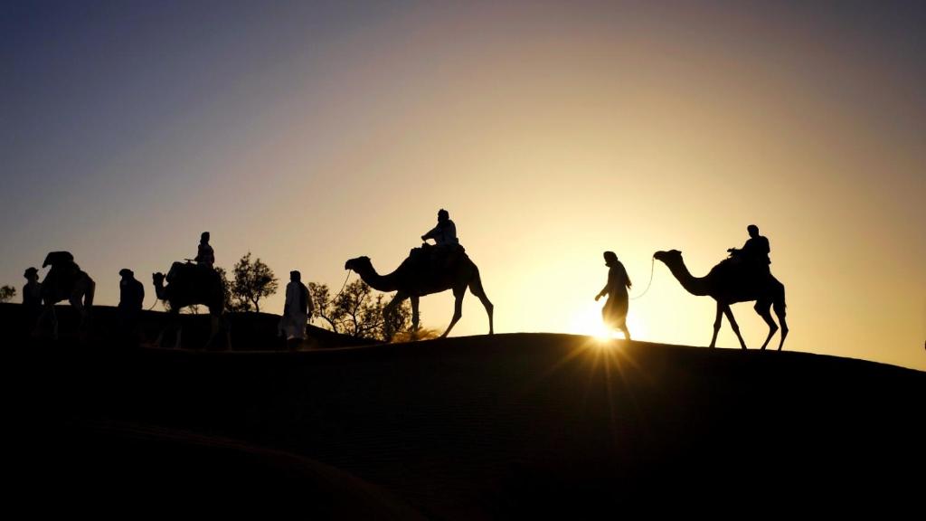 Mhamid Luxury Camp في Mhamid: مجموعة من الناس يركبون الجمال في الصحراء وقت الغروب