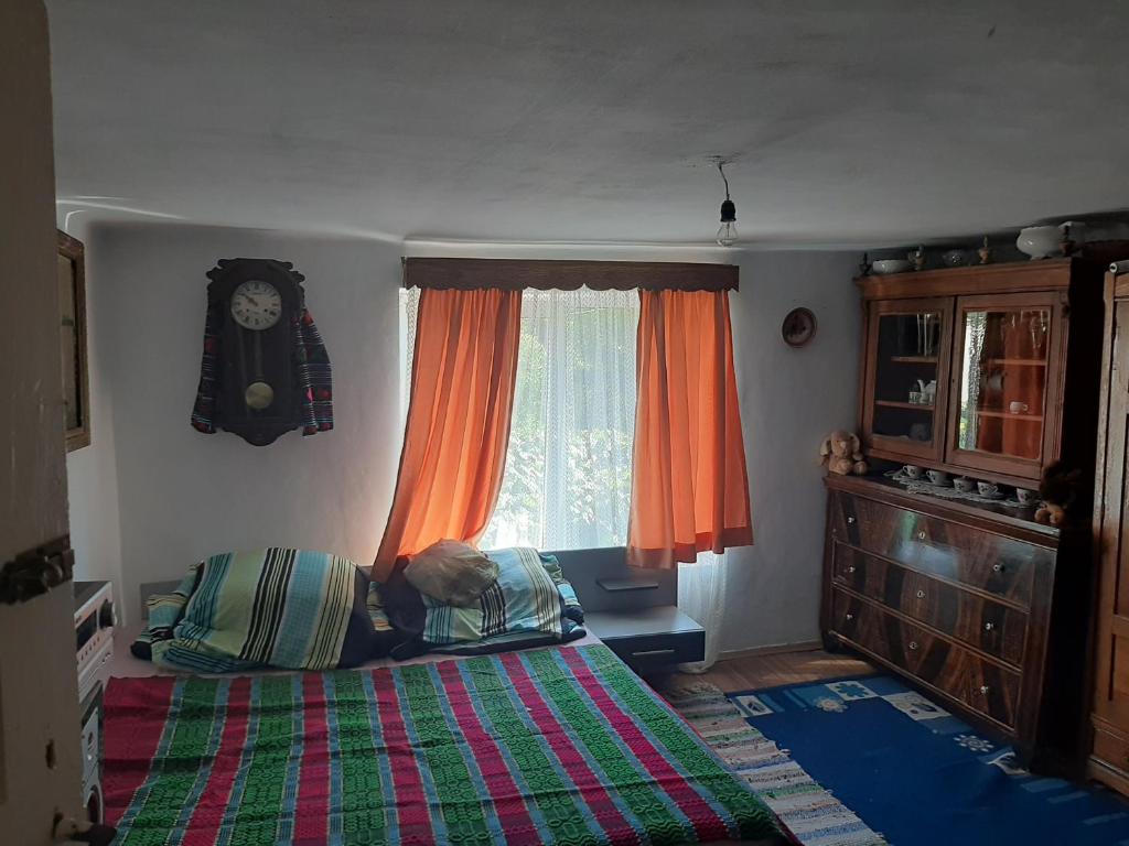 Giường trong phòng chung tại Pensiunea Lazar