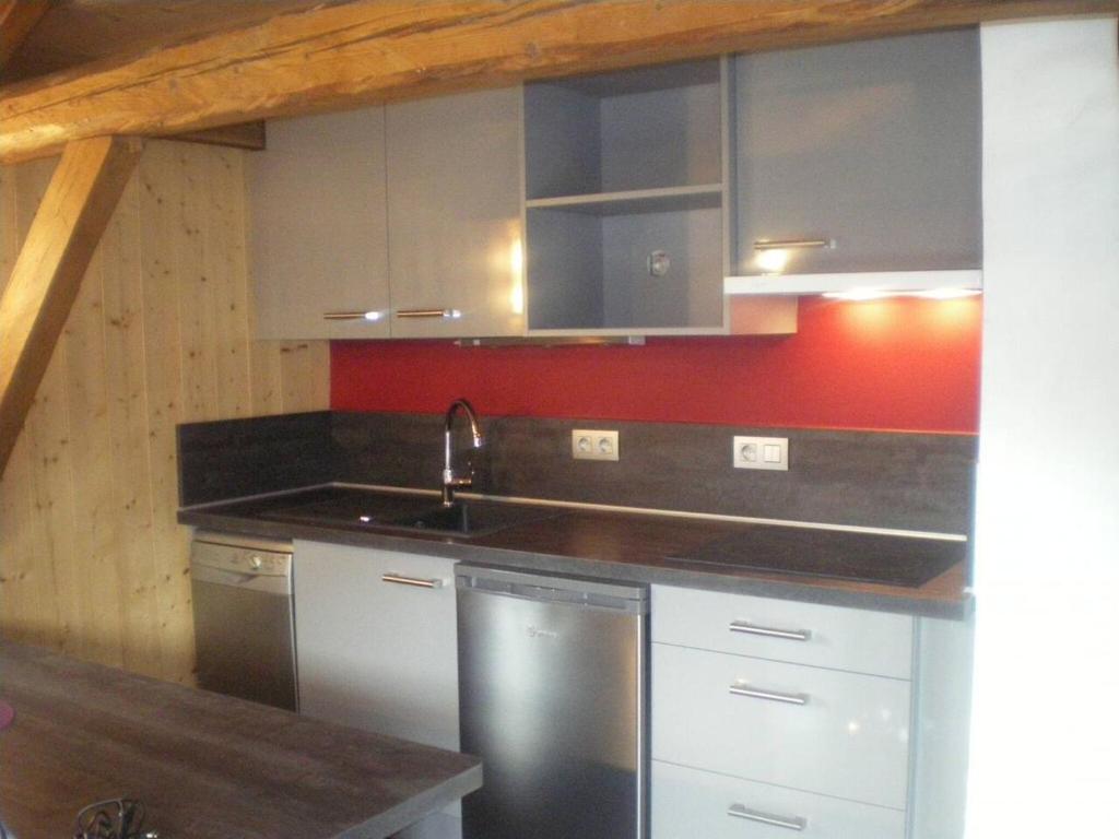 a kitchen with stainless steel appliances and red wall at Propriete de 2 chambres avec wifi a Taninges a 7 km des pistes in Taninges