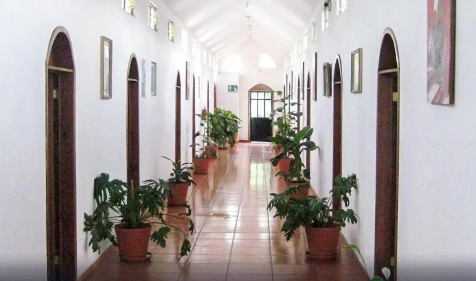 un corridoio con piante in vaso in un edificio di Hotel Posadas Ocampo By Rotamundos a Salvatierra