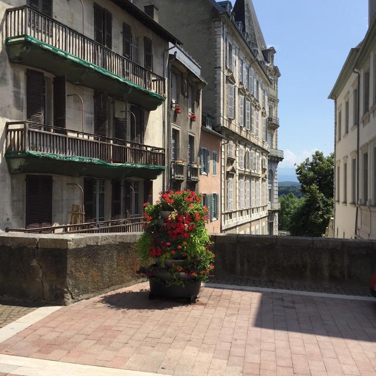 un pot de fleurs assis devant un bâtiment dans l'établissement Joli studio Centre historique, à Pau