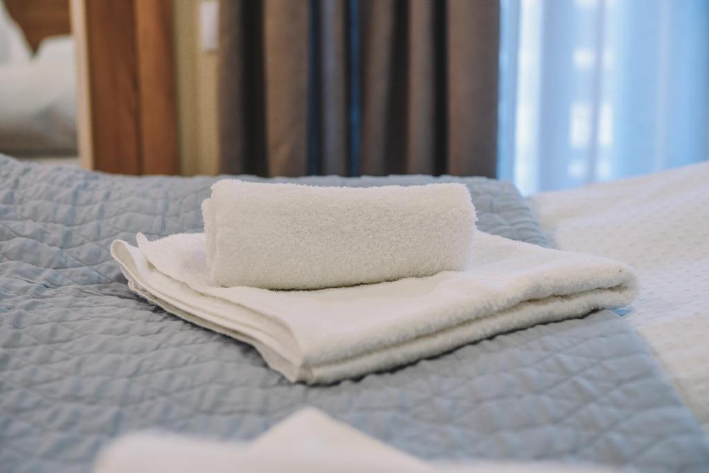 Кровать или кровати в номере MaRKoS flat in Bakuriani Inn