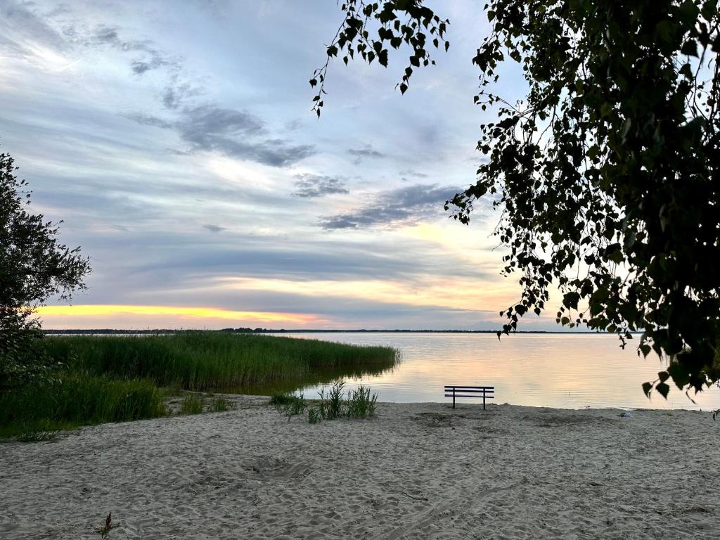 a bench sitting on a beach next to a body of water at Ferienhäuser Baltic Lagoon Haus 14a in Fuhlendorf