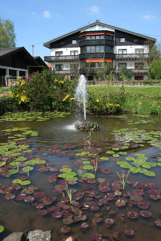 Příroda nedaleko hotelu