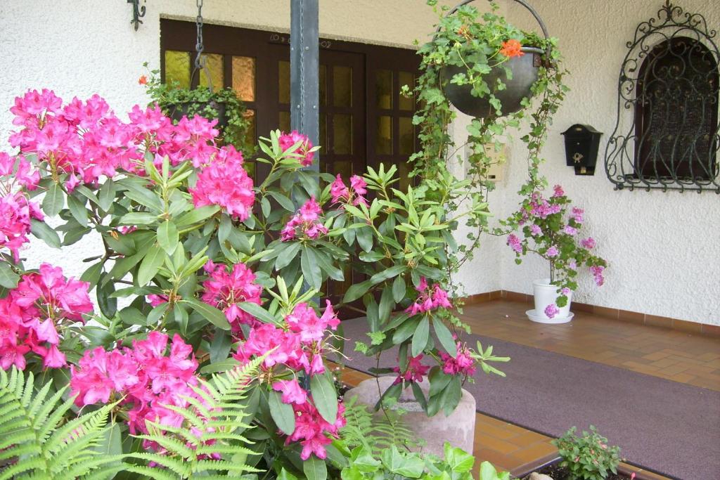 Zahrada ubytování Hotel Mühlenthal GmbH