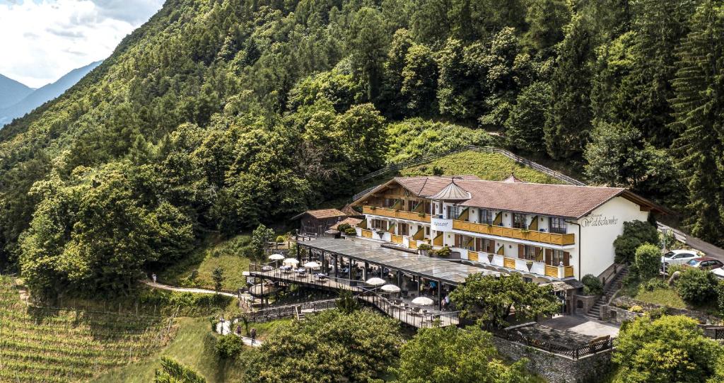 Príroda v okolí hotela