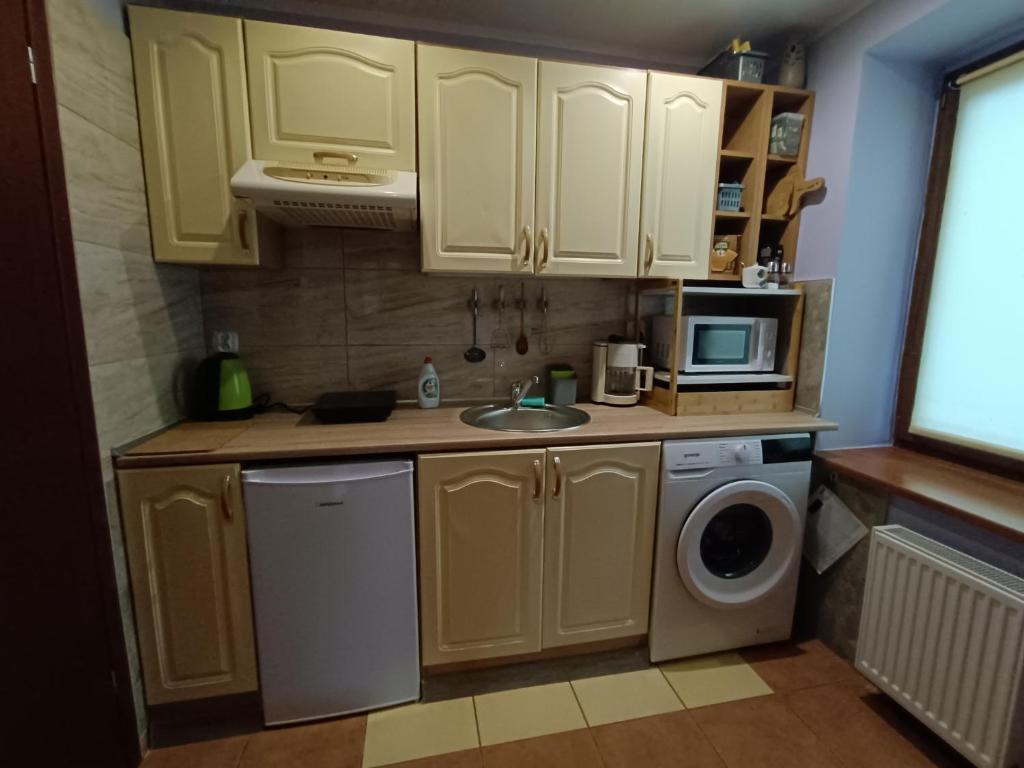 eine Küche mit einer Spüle und einer Waschmaschine in der Unterkunft Apartamenty z ogrodem nr 1 in Mrągowo
