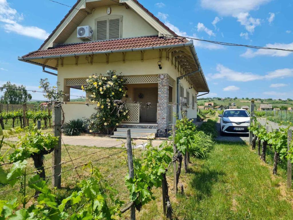 a house in a vineyard with a car parked in front at Lugas Apartman in Villány