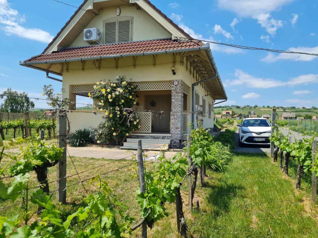 Lugas Apartman 7773 Villány, Szőlő utca kép - 1
