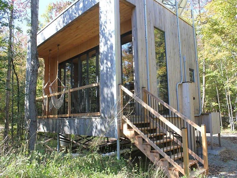 Cabin Zoobox 55