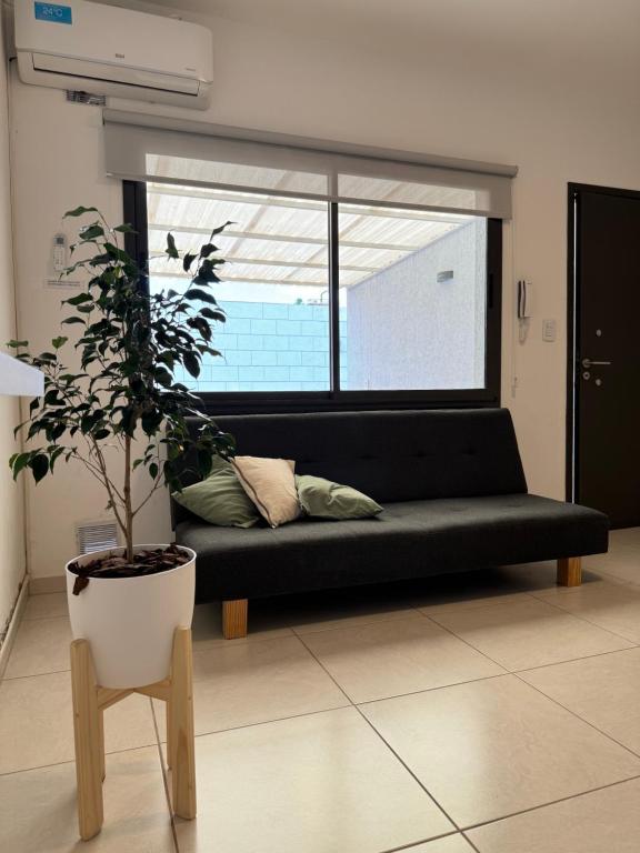 盧漢德庫約的住宿－Complejo Carrodilla - Lujan de Cuyo，一间种植了盆栽植物的房间里一张黑色的沙发