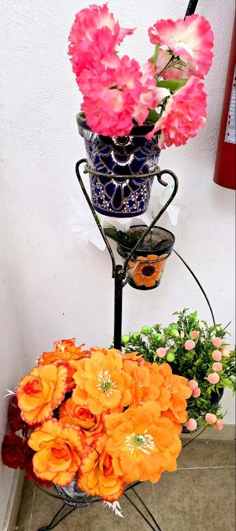 Fotografie z fotogalerie ubytování Hotel Plaza Baratillo v destinaci Guanajuato
