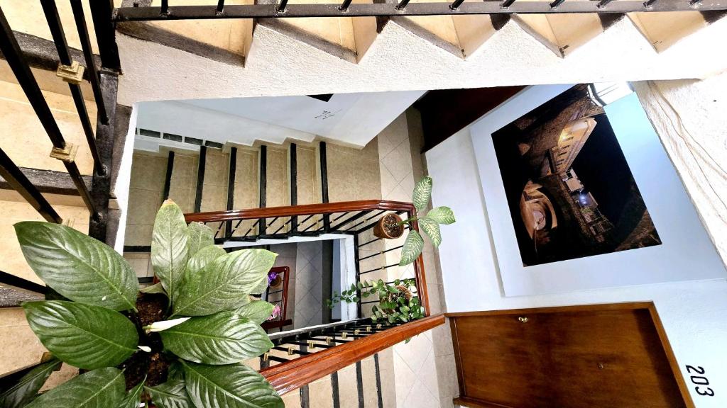 Fotografie z fotogalerie ubytování Hotel Plaza Baratillo v destinaci Guanajuato