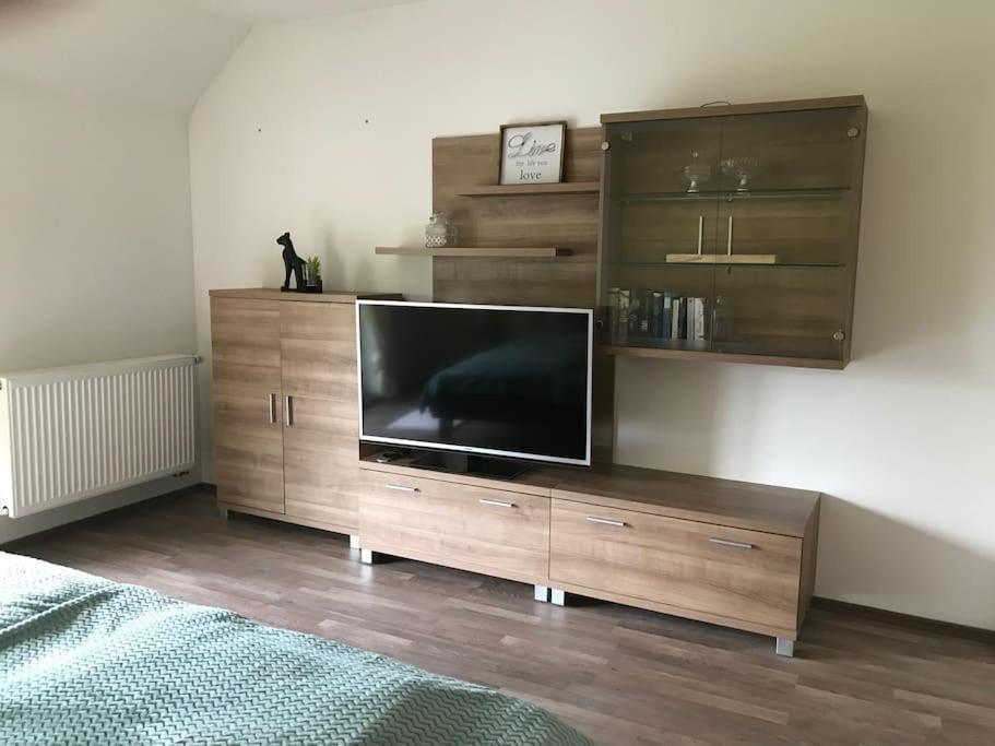 TV a/nebo společenská místnost v ubytování Apartment am See