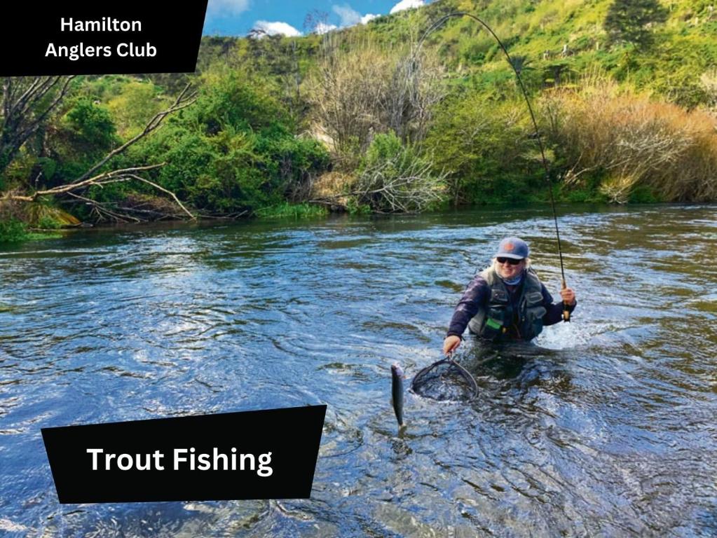 Gazeley Gem - Resim 31