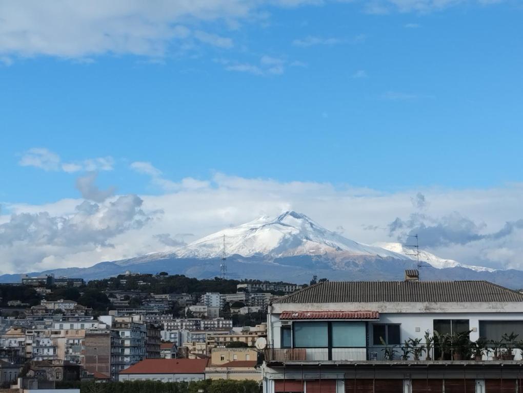 Catania Centre Urban Art B&B - 1