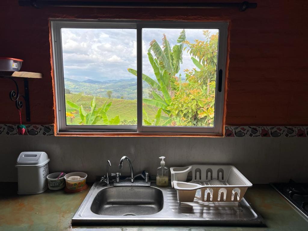 Majoituspaikan Finca Aguadalupe, Lago Calima keittiö tai keittotila