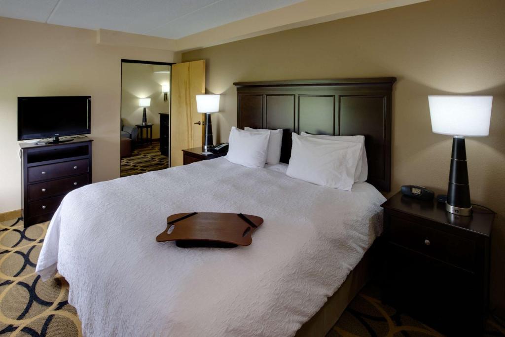 Hampton Inn Harrisburg/Grantville/Hershey - Suíte King De Um Quarto Com Lareira-não Fumante