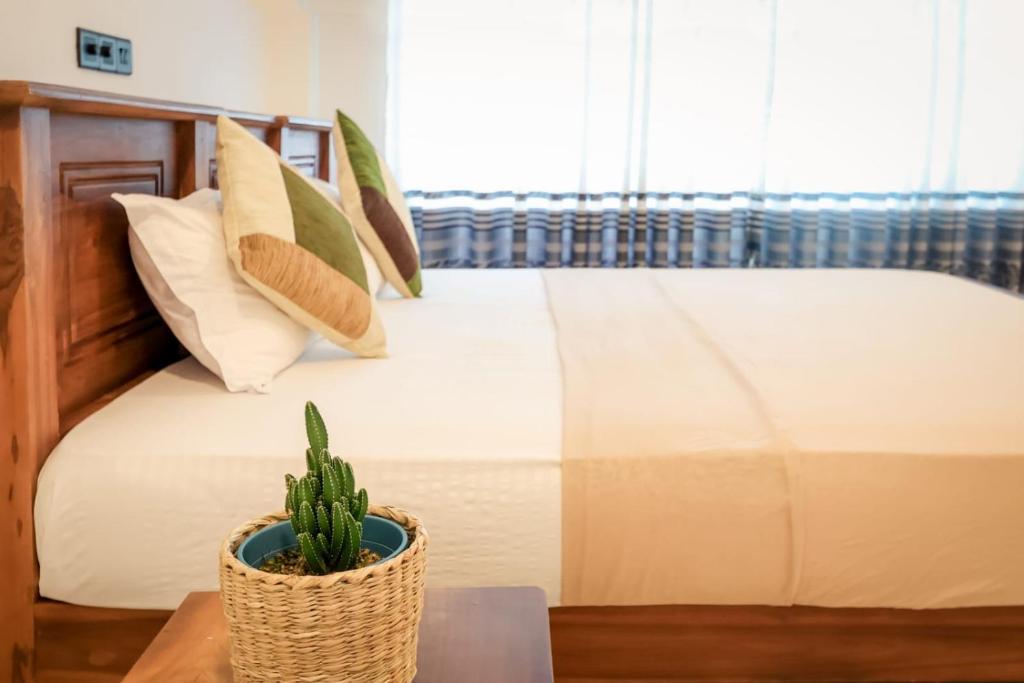 a bedroom with a bed with pillows and a cactus at Villa River Edge in Weligama