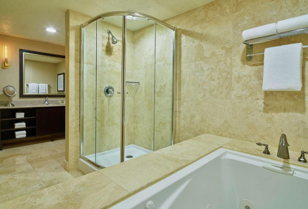 a bathroom with a tub and a shower at DoubleTree by Hilton Houston Intercontinental Airport in Houston
