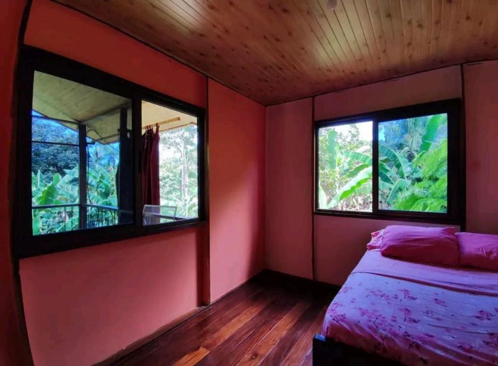 1 dormitorio con paredes rojas, 2 ventanas y 1 cama en Casa Campestre, en Bocas Town