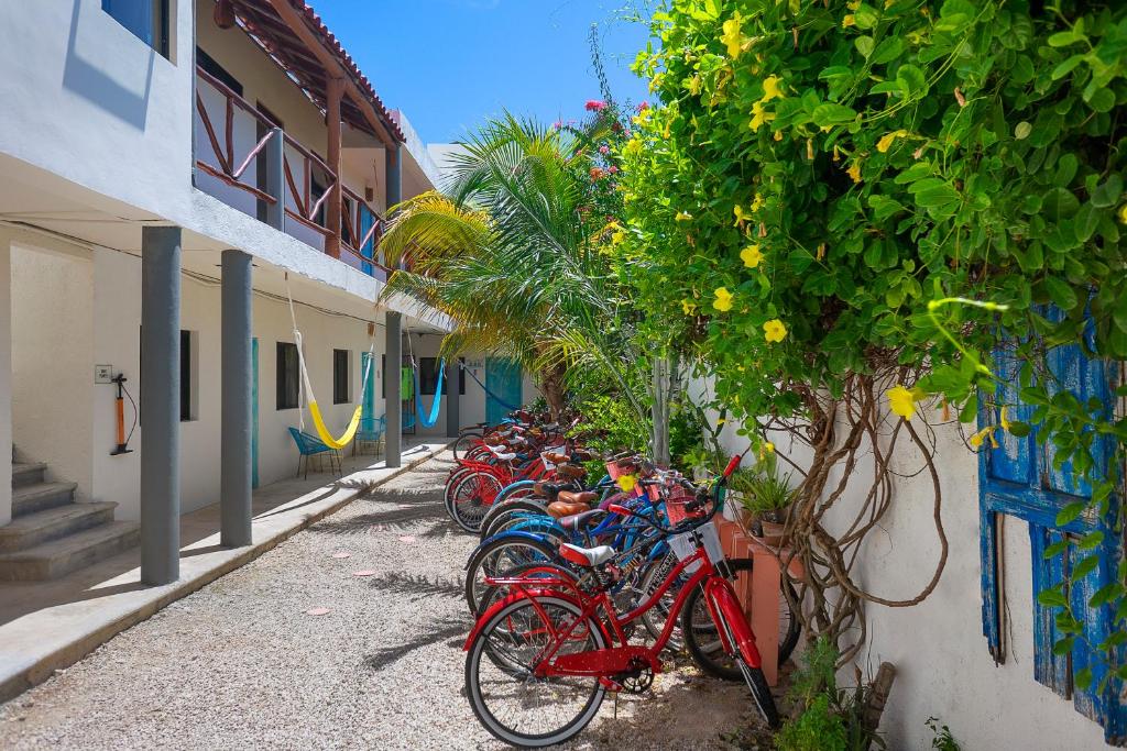 a row of bikes parked next to a building at Casa Toloc Tulum in Tulum