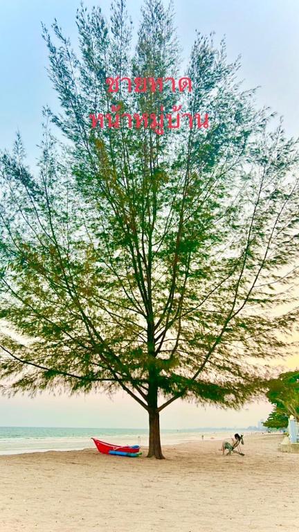 a tree on the beach with a sign on it at Oriental Beach By Winnie in Cha Am
