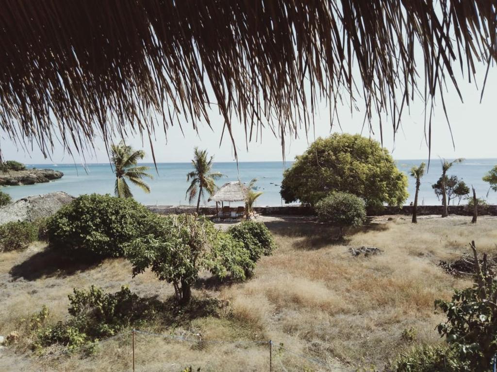 Blick auf einen Strand mit Bäumen und das Meer in der Unterkunft Kampung Kakak in Nembrala