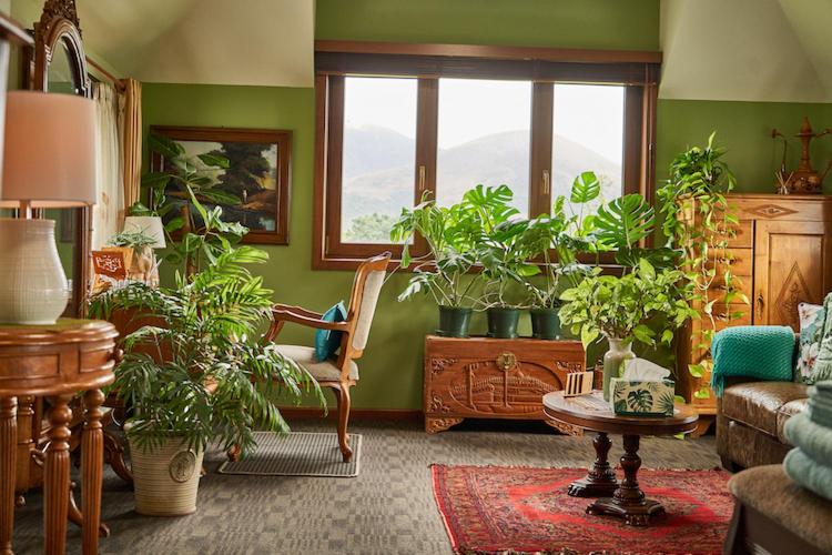 Kaikoura Mountain Views Villa - Resim 12