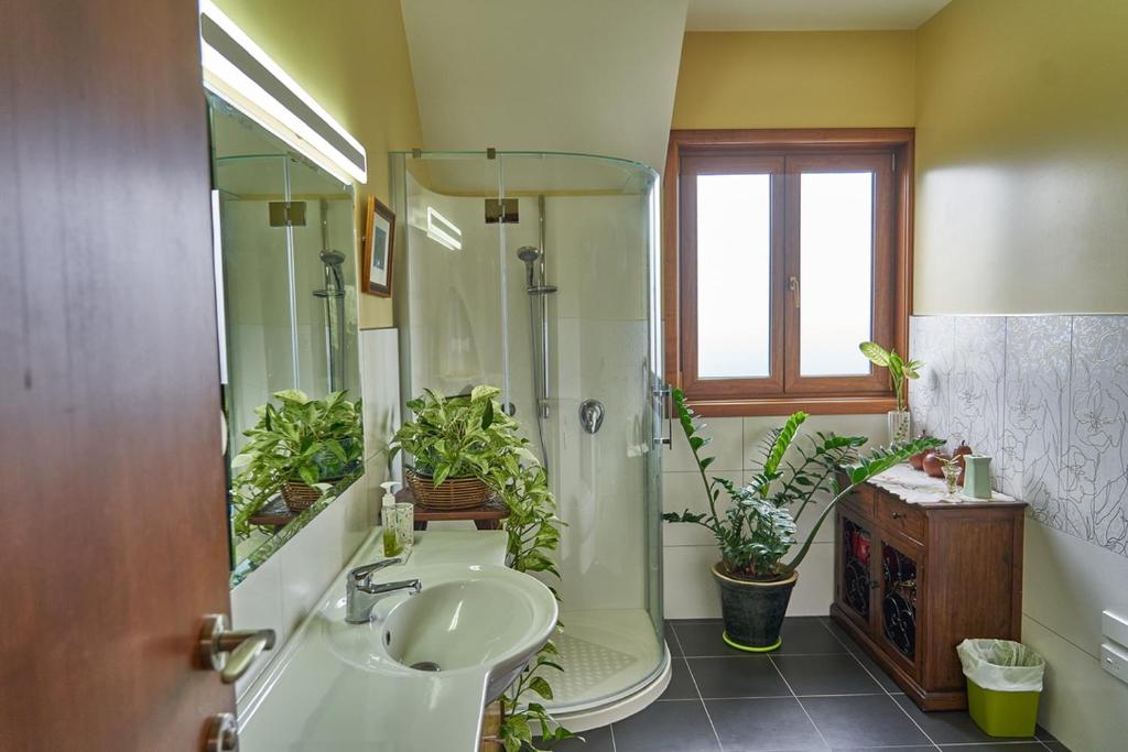 Kaikoura Mountain Views Villa - Resim 33