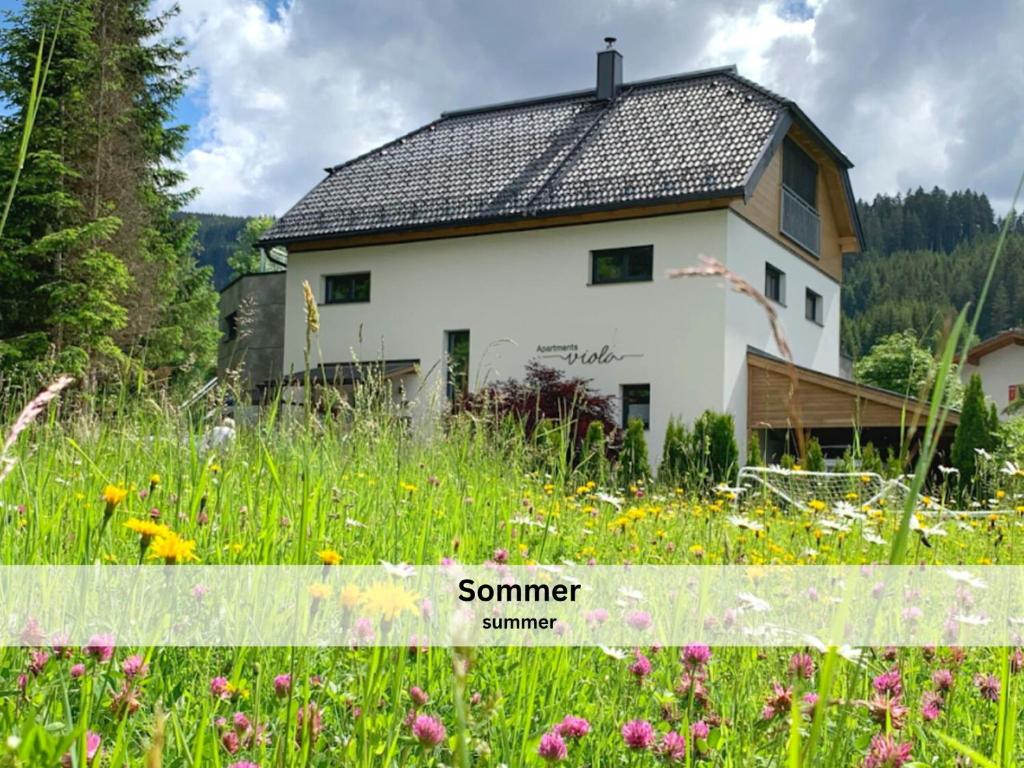 Apartments Viola Altenmarkt - Housity