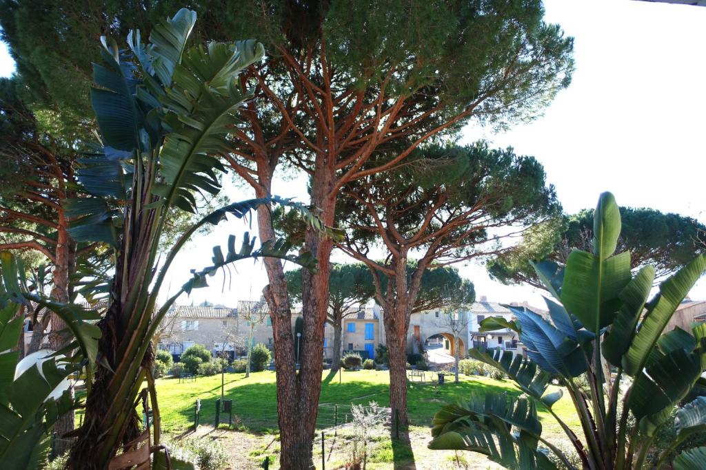 Entre mer et collines Appartement T2 - Appartement D'une Chambre