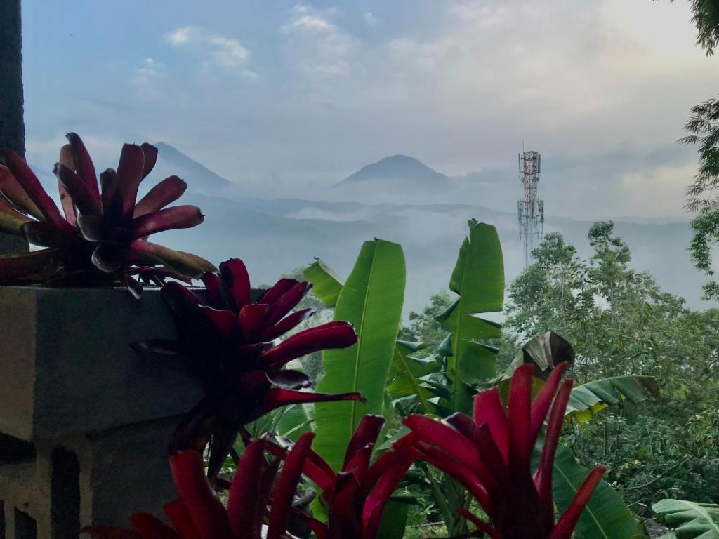 Kraras Munduk Guest House & DonBiyu Rendezvous Restaurant - 3