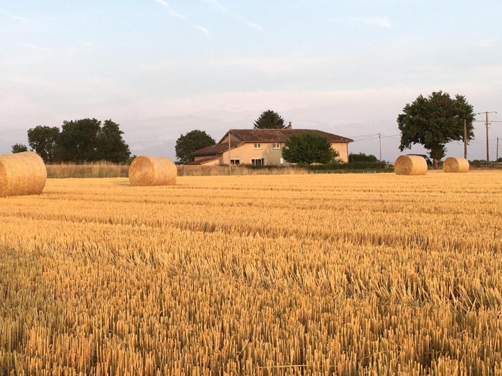 a field of hay bales in front of a house at Le clos du chêne - Chambres dans maison Bressane 
