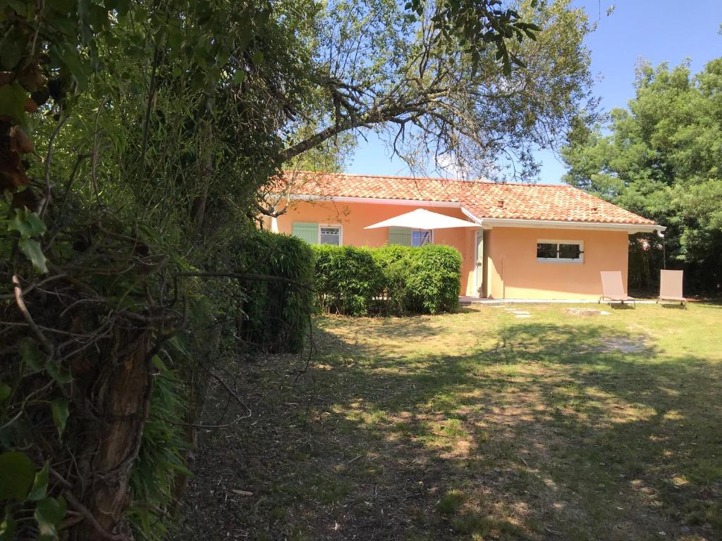 une maison avec un arbre devant dans l'établissement LACANAU, à Lacanau
