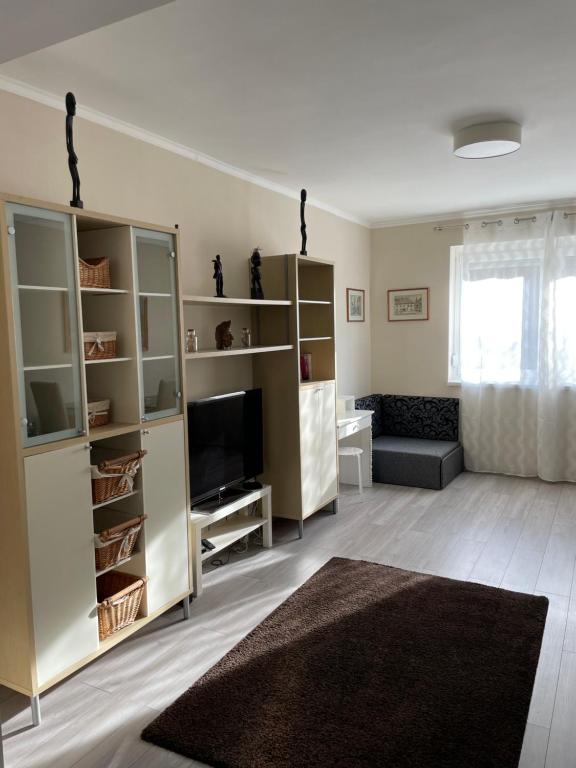 salon z telewizorem i kanapą w obiekcie SunCity Apartman w Segedynie